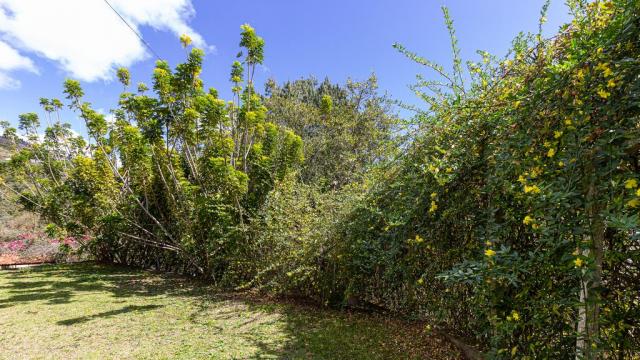 Casa à venda com 4 dormitórios em Vila abernéssia, Campos do jordão cod:55727 - Foto 5