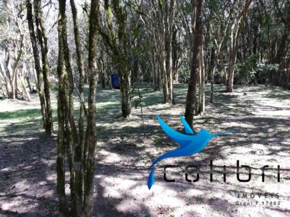Chácara pronta para lazer ou moradia em agudos do sul - Foto 15