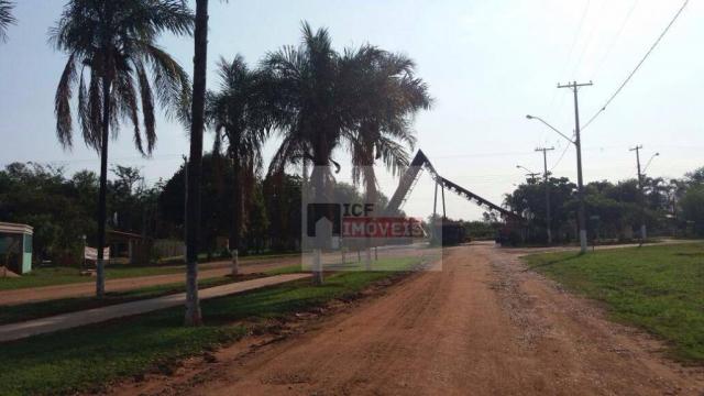 Terreno residencial à venda, zona rural, santo antônio do aracanguá. - Foto 6