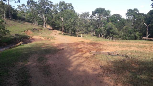 Fazenda 85 alqueres - Foto 6