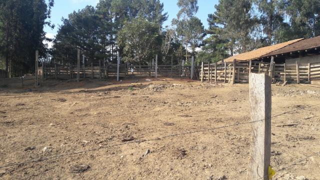 Fazenda 85 alqueres - Foto 13