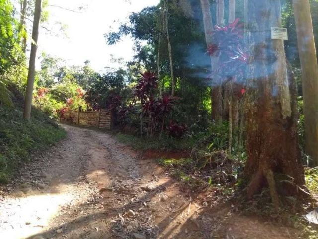 Tapera - Chácara com 1000 m² com uma casa com quarto - Foto 14