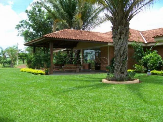 Chácara à venda em Zona rural, Brodowski cod:V133838 - Foto 9