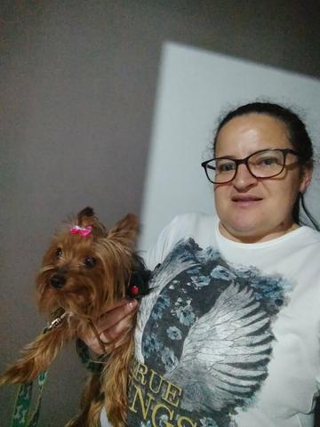 Arrumar um namorado pra Jholly