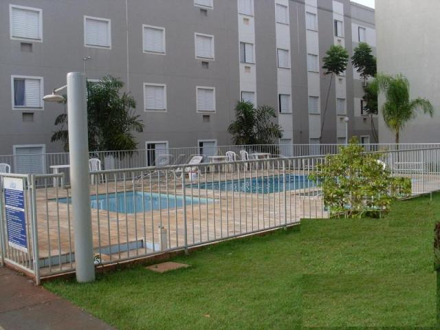 Apartamento para alugar com 2 dormitórios em Vila pompeia, Ribeirao preto cod:L123920 - Foto 12