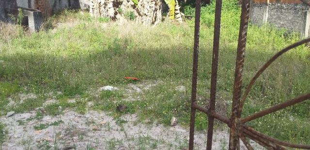 Terreno - Foto 3