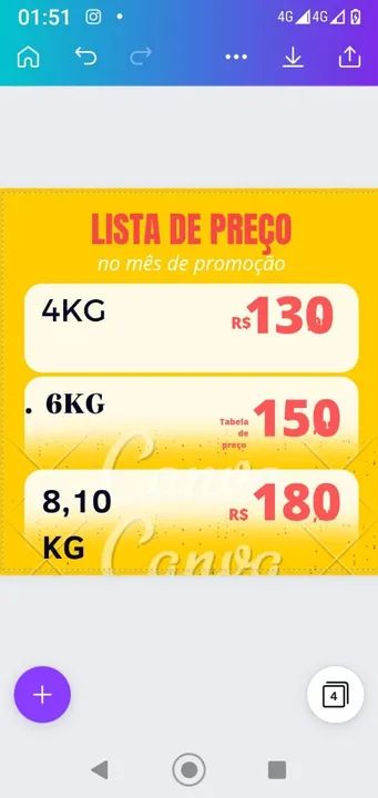 wall Ball 4kg - Foto 3