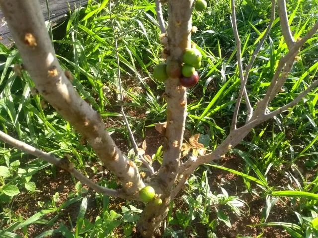 Área de 6.460m² - Foto 6