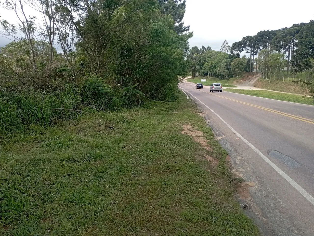 Chácara com tanque em Mandirituba  frente BR - Foto 2