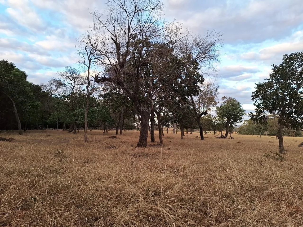 Chácara 2,5 km de Bela Vista de Goiás.  - Foto 3