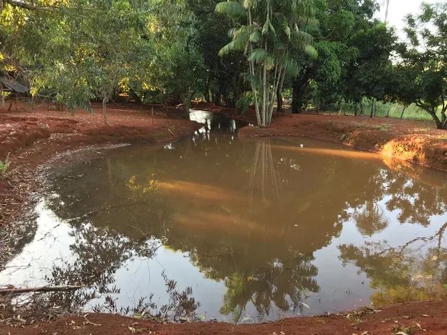 VENDO CHÁCARA EM ABADIANIA COM RIBEIRÃO  - Foto 4
