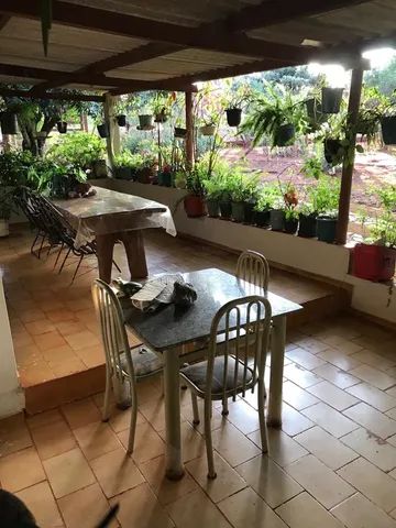 VENDO CHÁCARA EM ABADIANIA COM RIBEIRÃO  - Foto 11