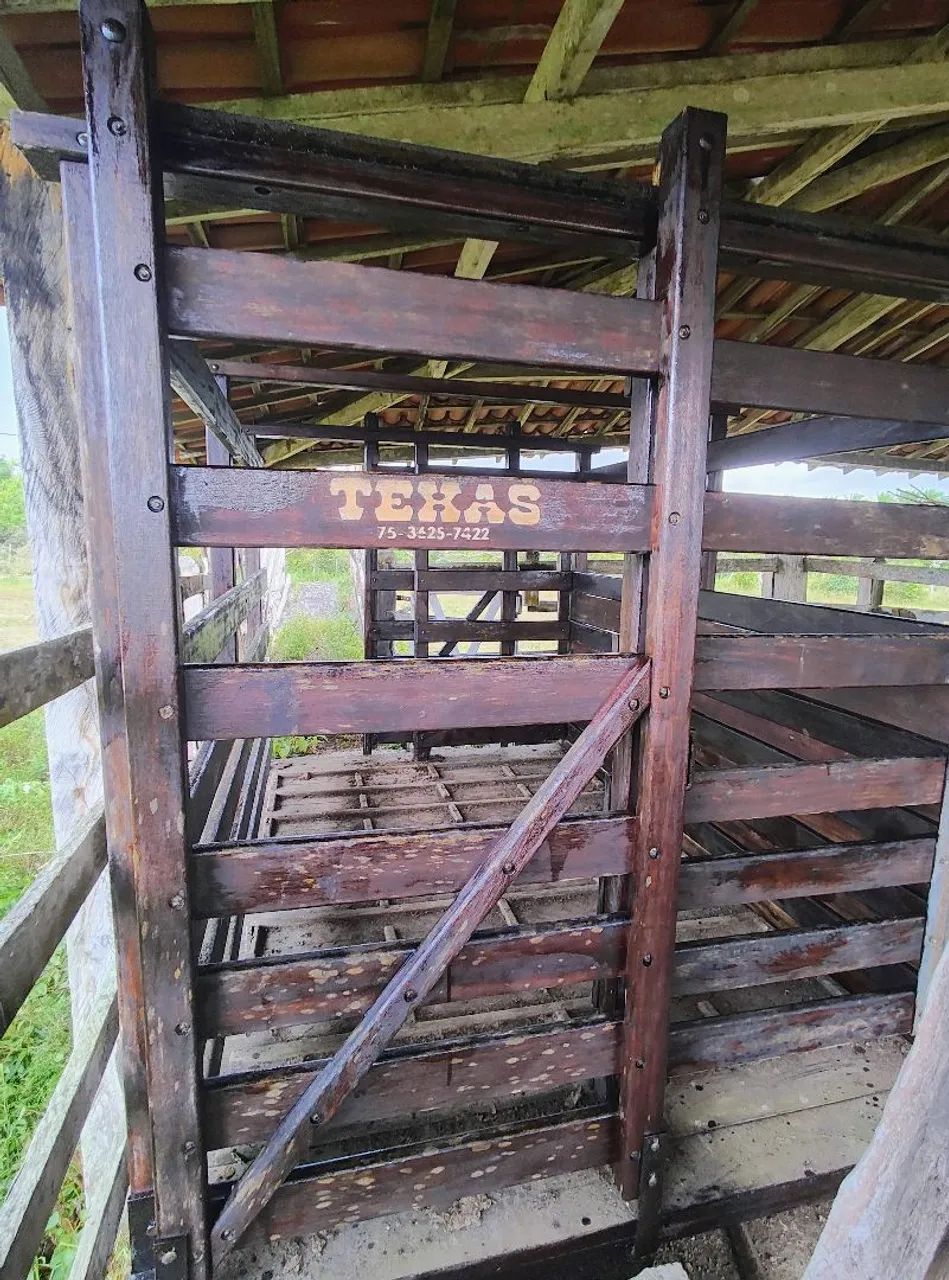 Balança mecânica Texas modelo B4 p/04 a 06 animais - Foto 3