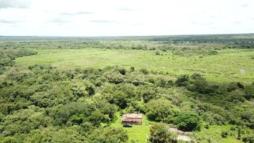 Vendo propriedade rural com 160 hectares - Curimatá/PI