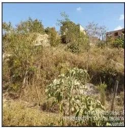 Oportunidade Única em JUATUBA - MG | Tipo: Terreno | Negociação: Licitação Aberta | Situaç