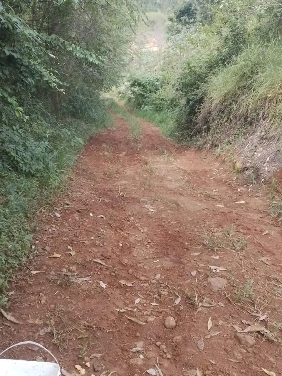 Sitio 6,4 Ha Palmitos - SC - Ao lado ponte rio Uruguay - Foto 9