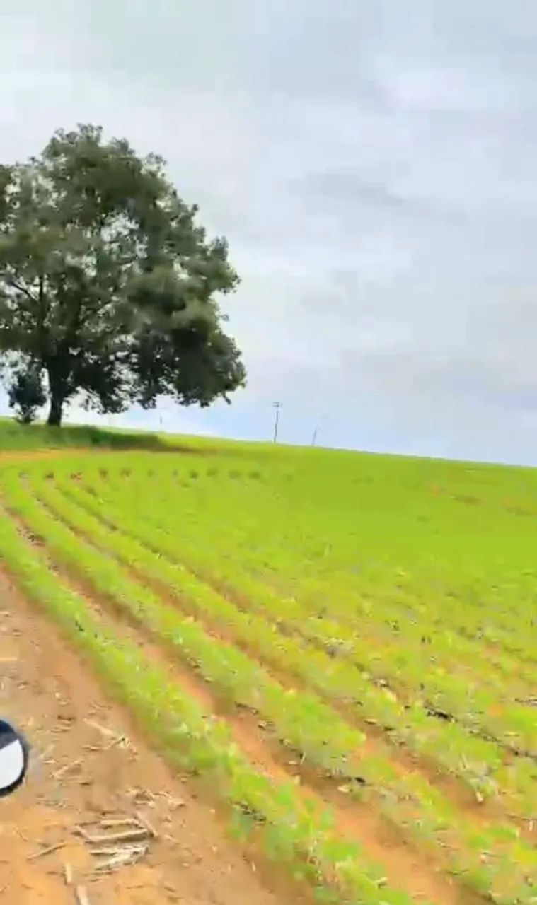 Fazenda Planaltina DF BR O20 PRF