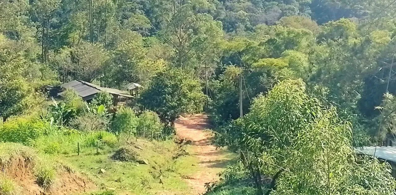 Sítio para venda em Sodrelândia na Região Serrana em Trajano de Morais/RJ, 6,5 Alqueires, 
