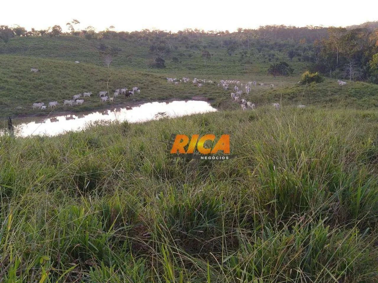 Fazenda a venda com 400 Hectares na Zona Rural de Sena Madureira/AC - Foto 5