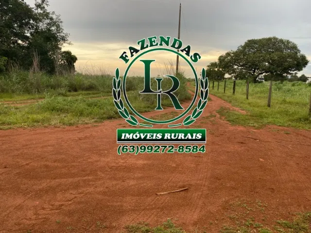 Fazenda 119 Alqueires Vale do Araguaia