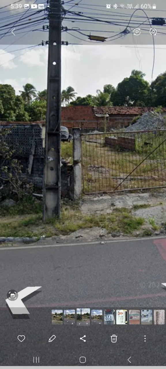 Terreno para alugar o vende