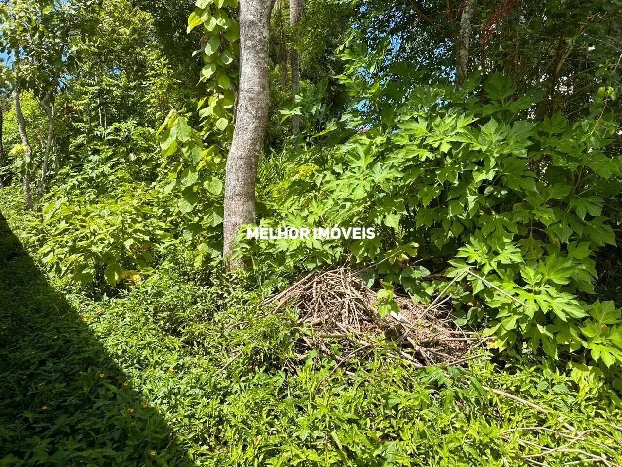 Terreno na Praia do Estaleiro, Balneário Camboriú/SC