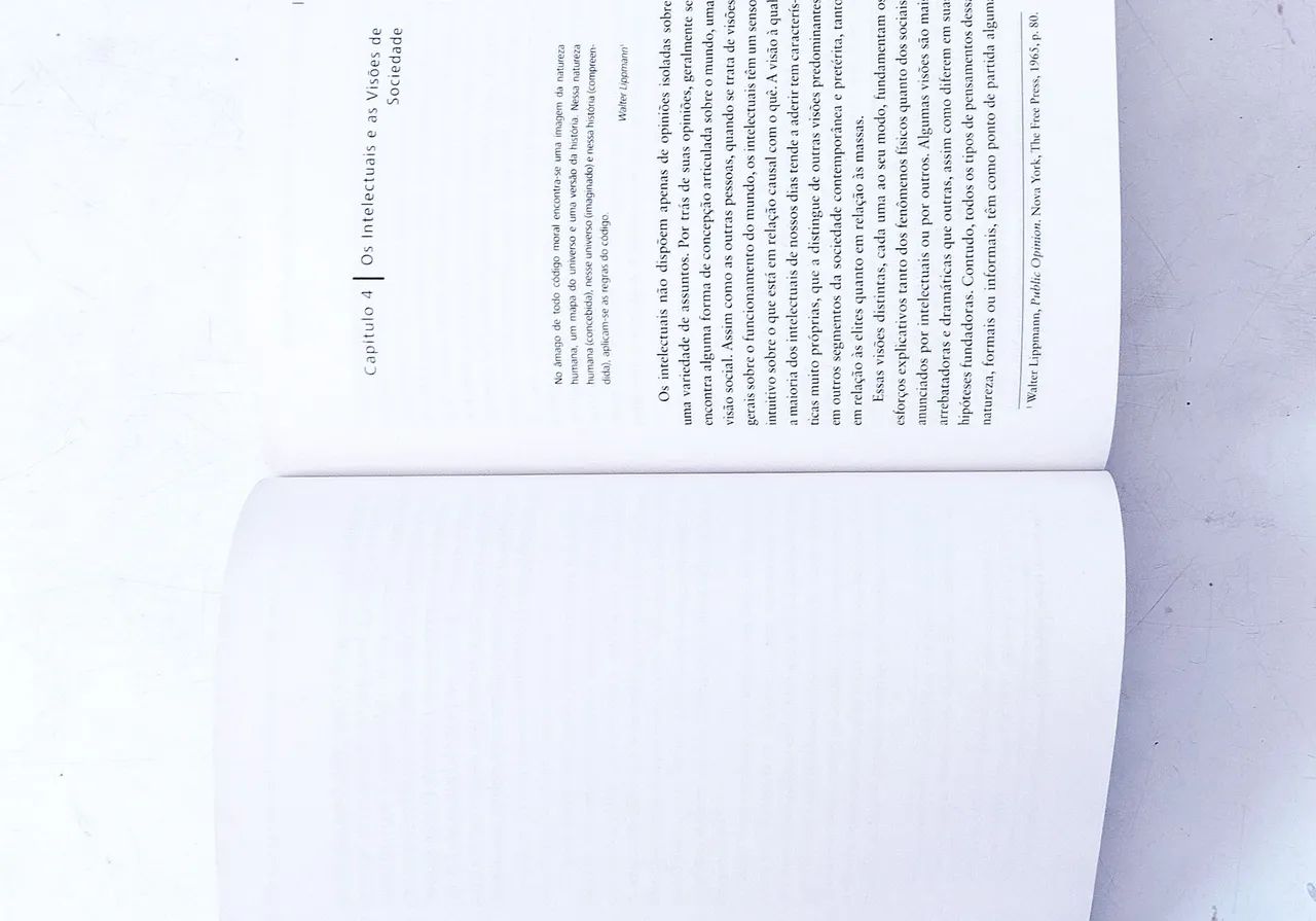 LIVRO OS INTELECTUAIS E A SOCIEDADE  - Foto 6
