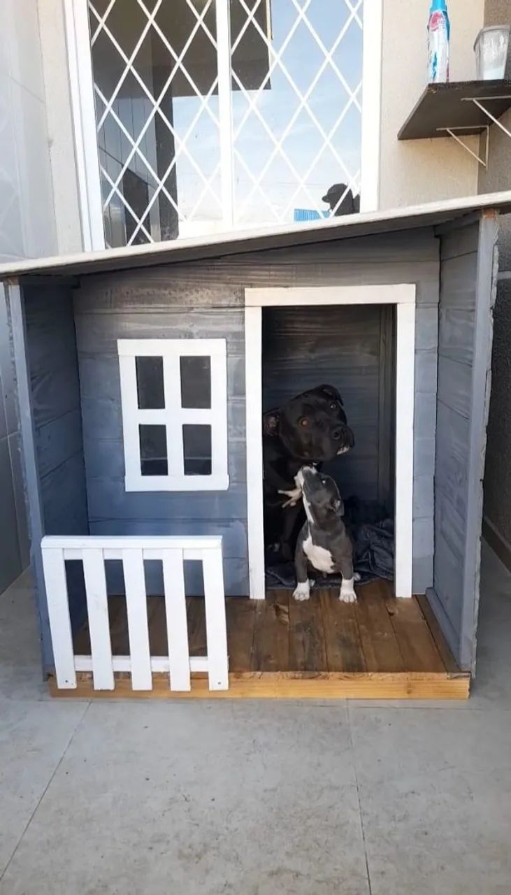 Casinha para cachorro  - Foto 3