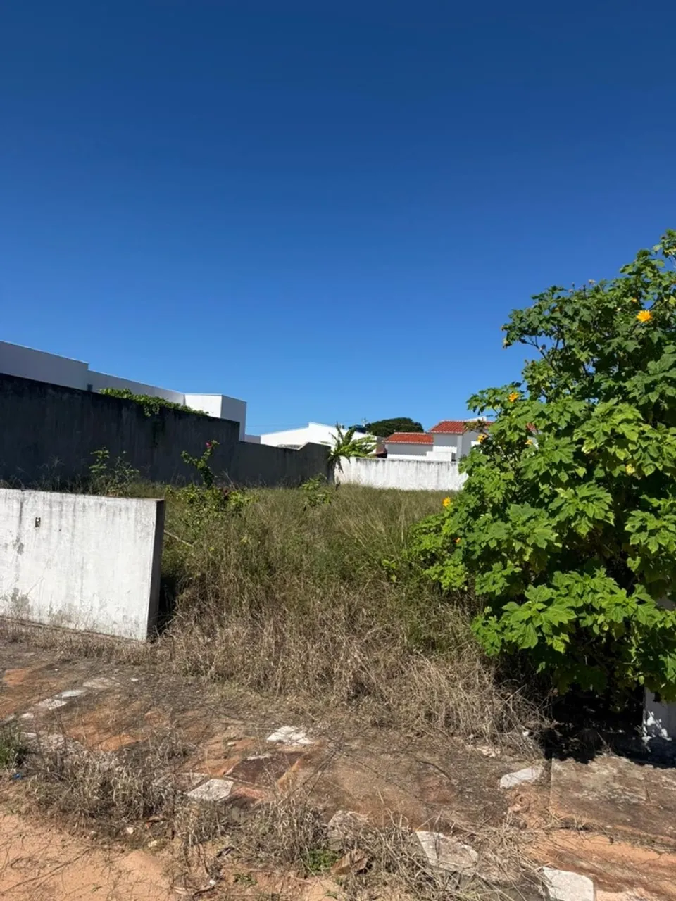 Loteamento Mirante
