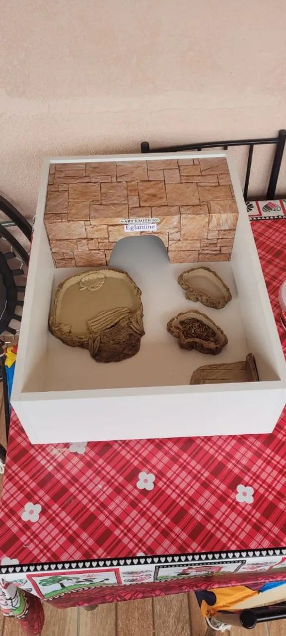 Terrário para Tartarugas - Foto 2