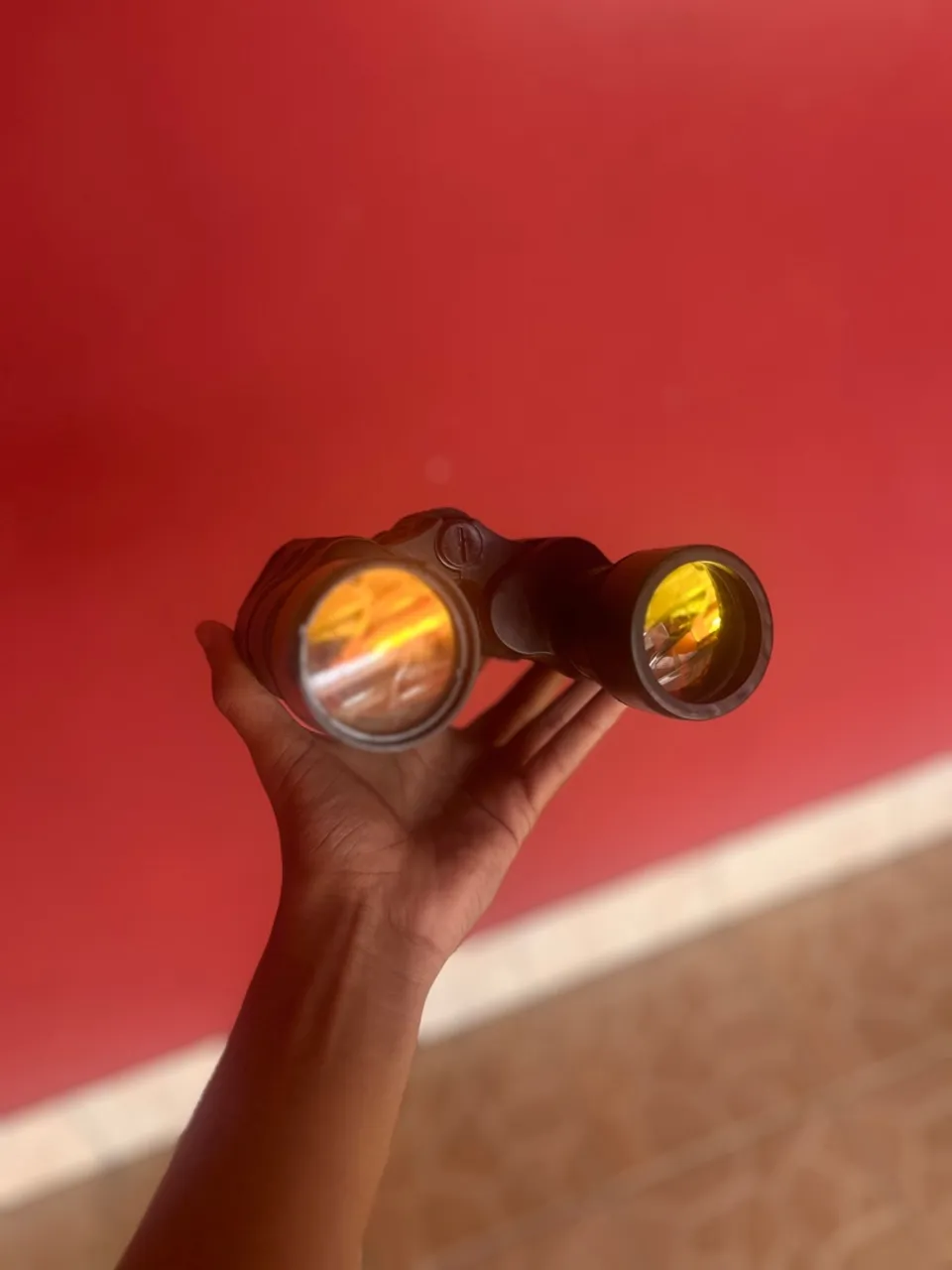 Binóculos para Observação