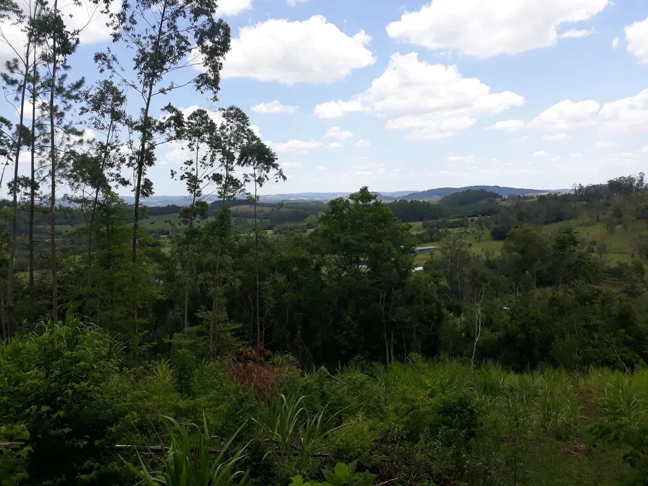 Mini sítios em localização privilegiada: acesso fácil a 4km de Taquara e 7km de Igrejinha  - Foto 2
