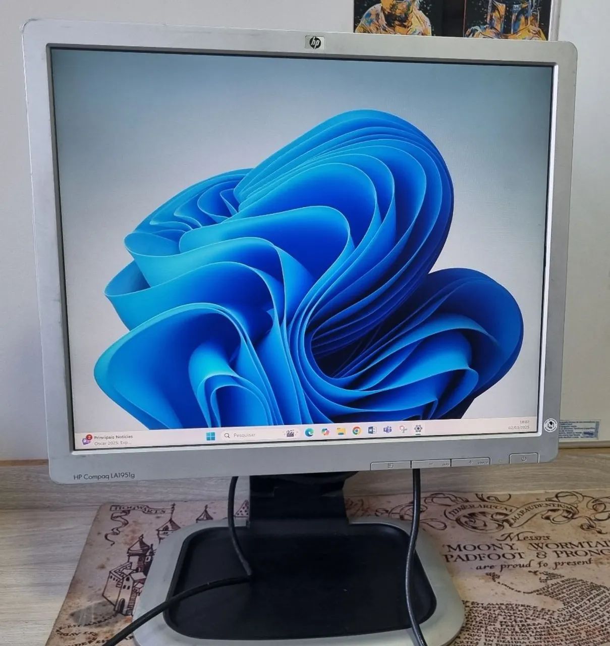 Monitor HP 19''