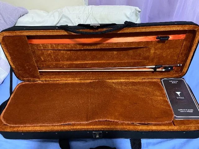 Violino 4/4 Eagle Ve 441 Ajustado Com Estojo Luxo Retangular - Foto 2