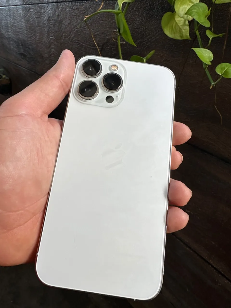 iPhone 13 Pro Max 256GB