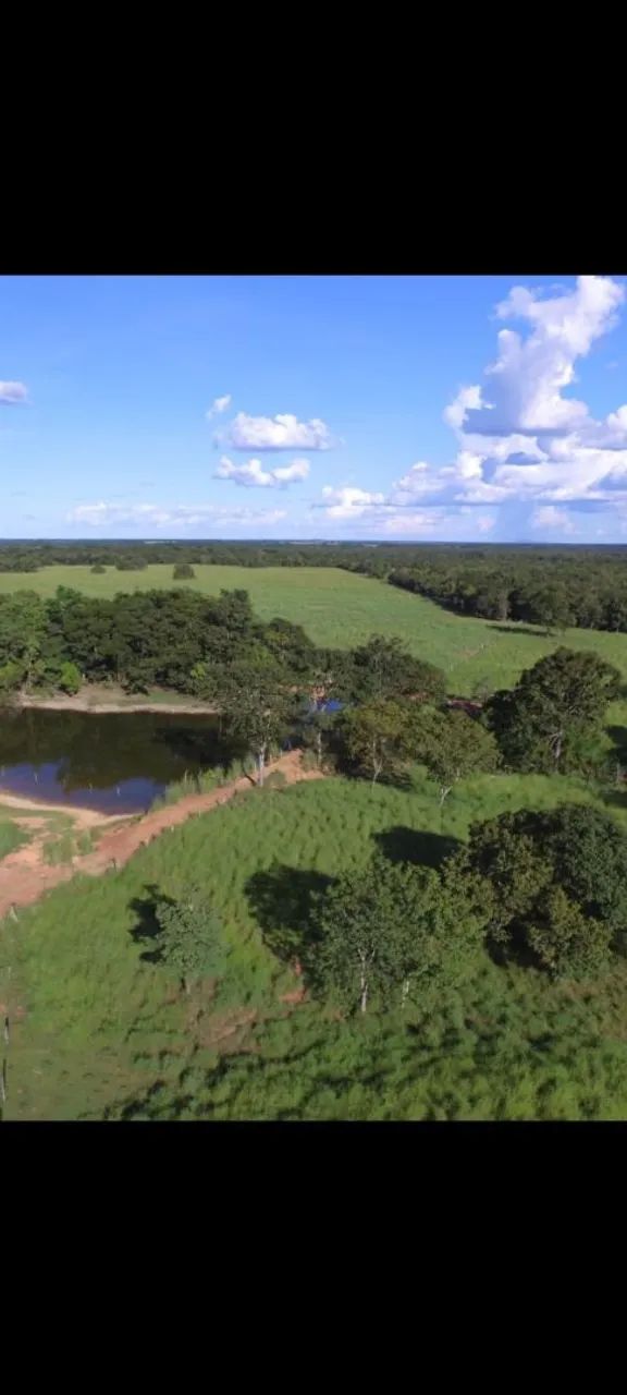Fazenda em Alvorada To - Foto 3