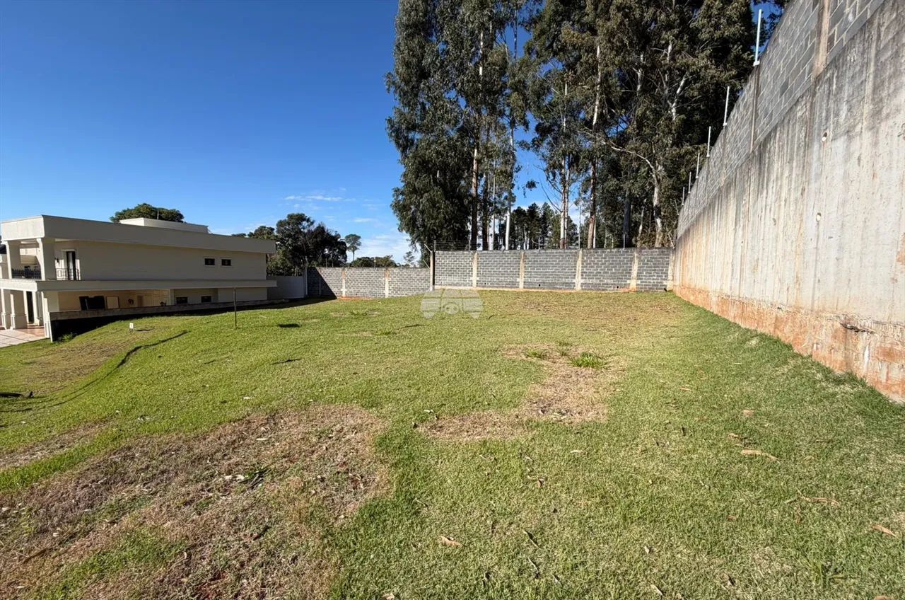 Vendas Terreno Pato Branco PR - Foto 3