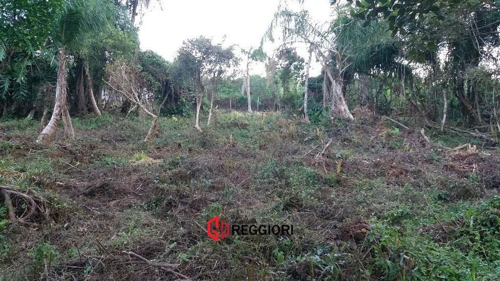 TERRENO C MATRICULA PLANO MORRO DAS PEDRAS FLORIPA - Foto 3