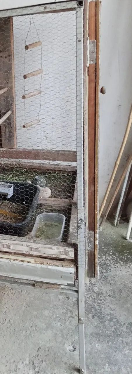 Quadrado telado  - Foto 5