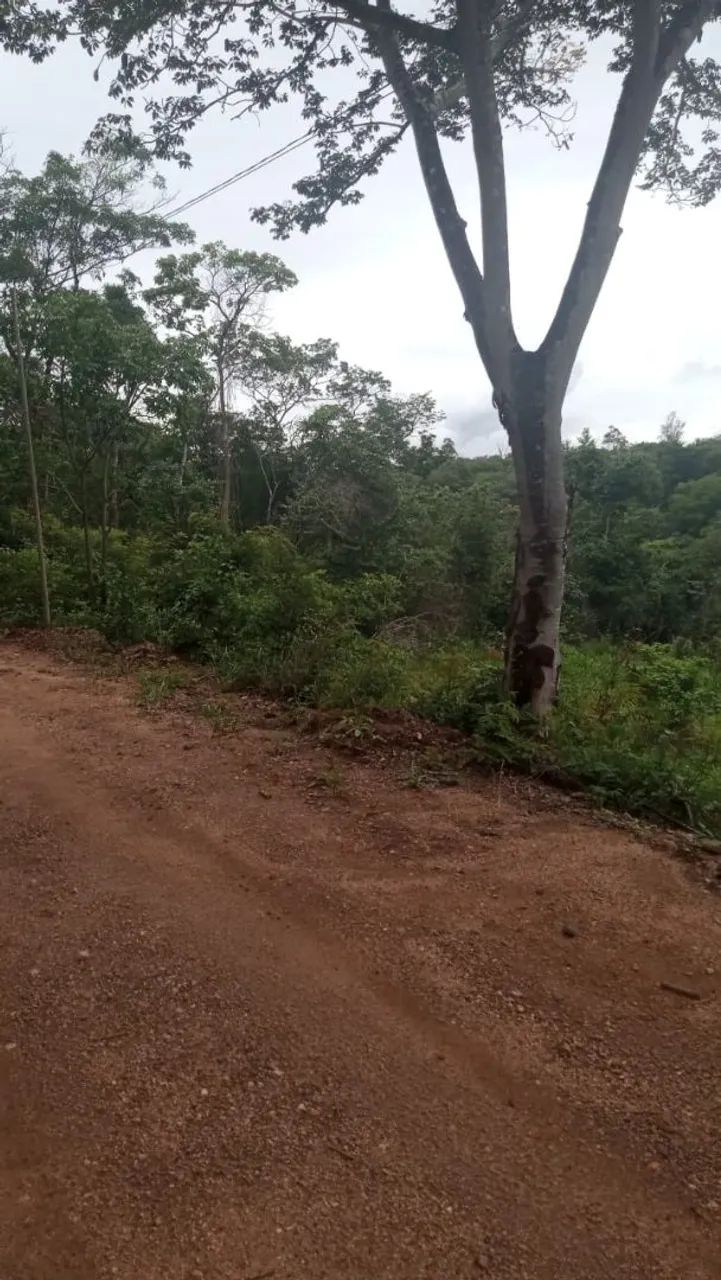 Terreno / Chacara - Foto 2