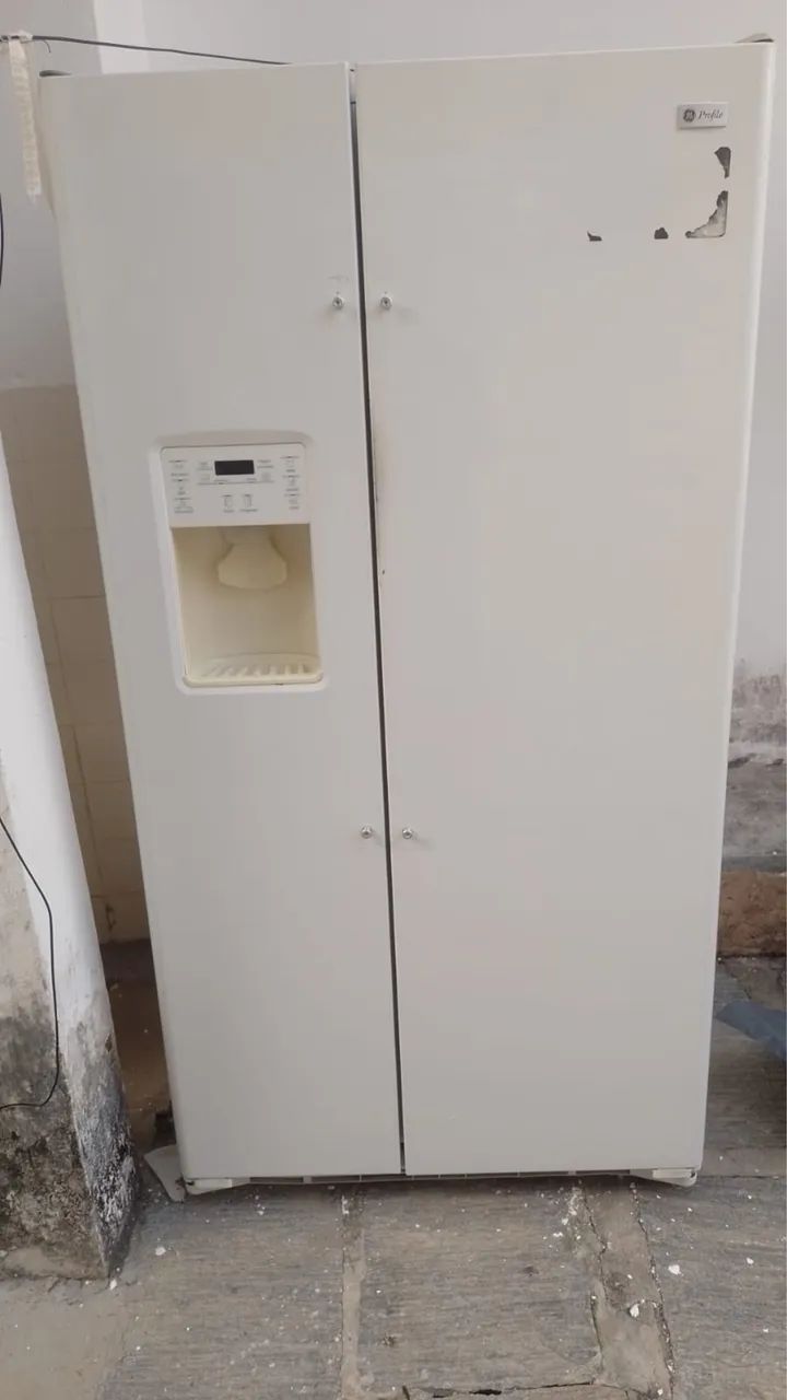 Geladeira Duplex com Dispenser de Água 