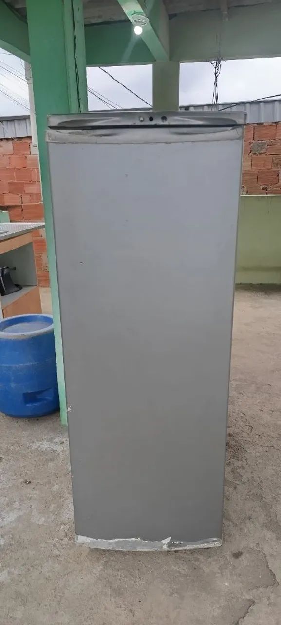 Freezer vertical 