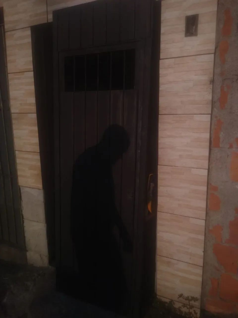 Portão social 