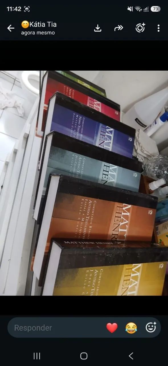 LIVROS BÍBLICOS  - Foto 2