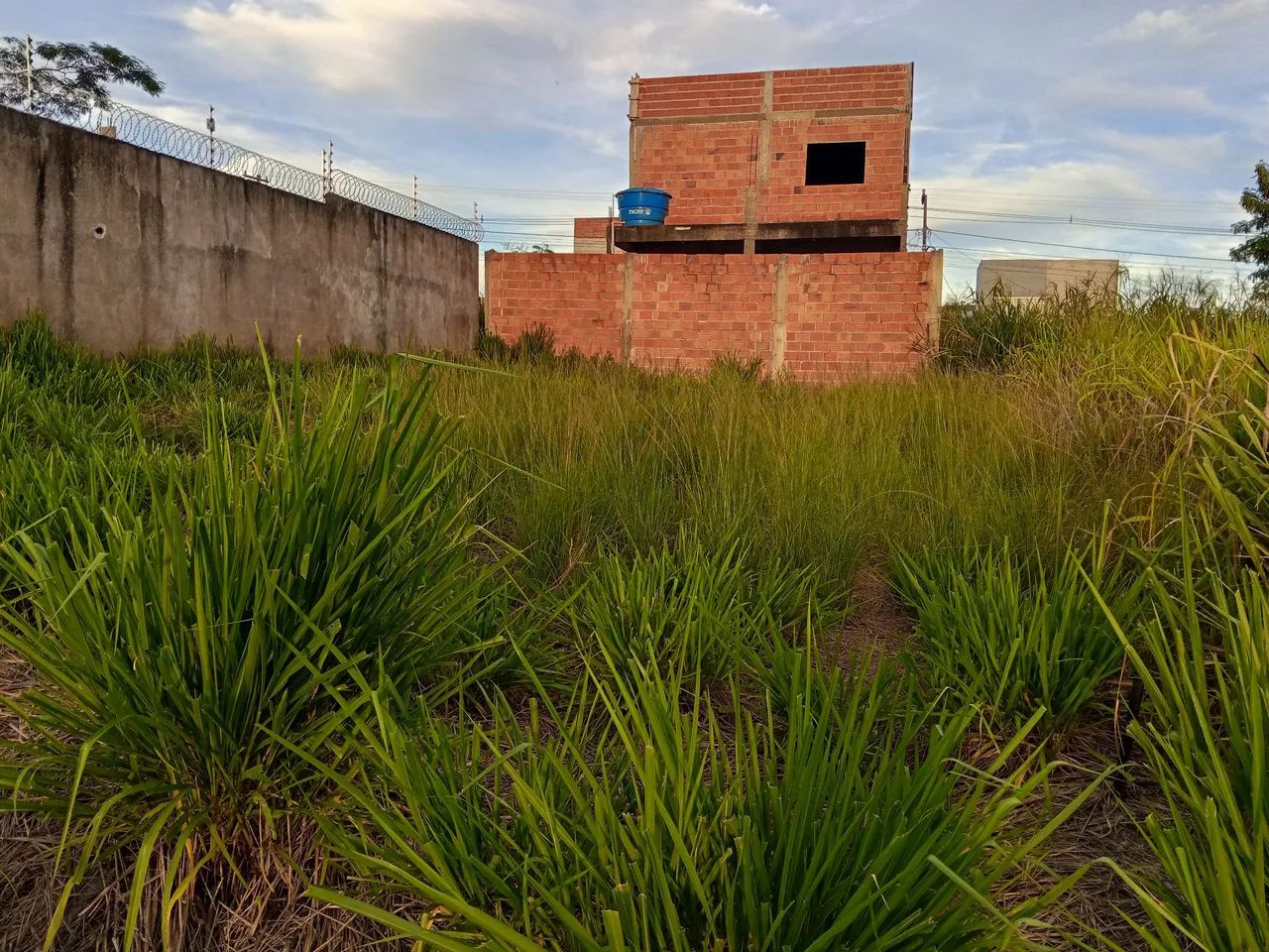 Foto - Parauapebas - 