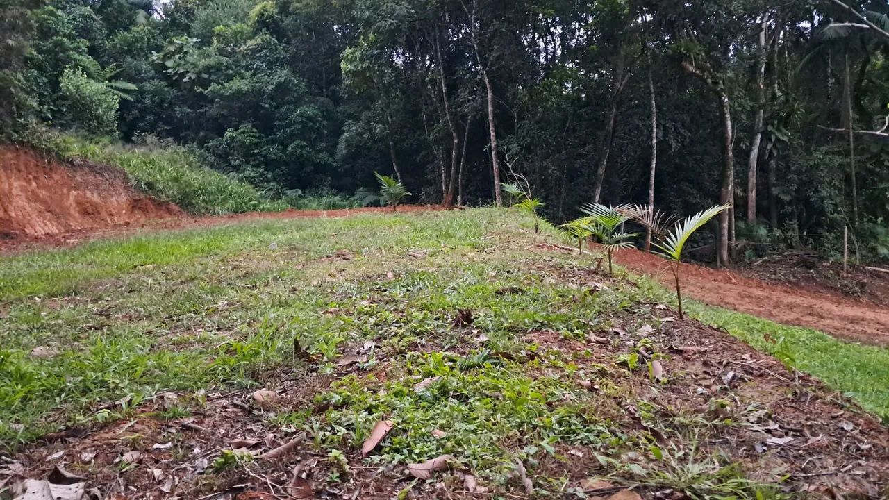 Terreno para chácara sítio  - Foto 4
