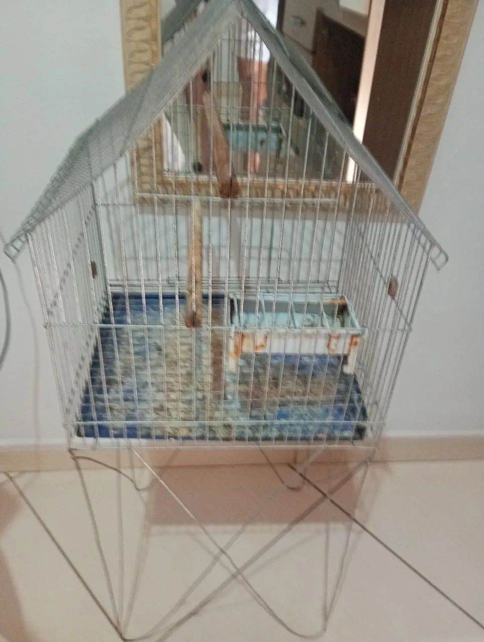 Gaiola de ferro 
