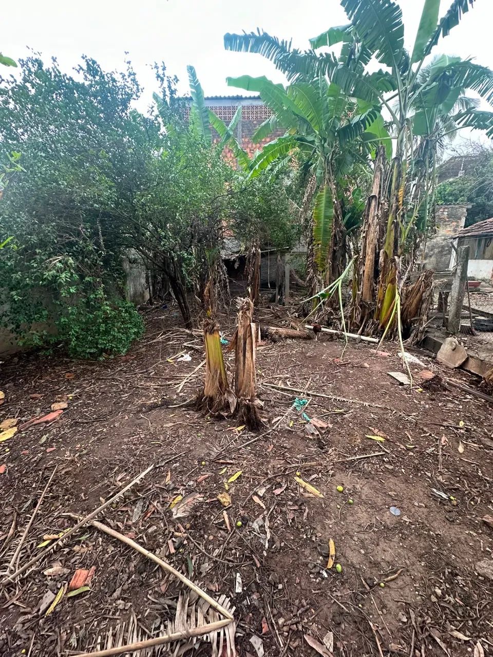Vendo terreno em comendador  - Foto 3