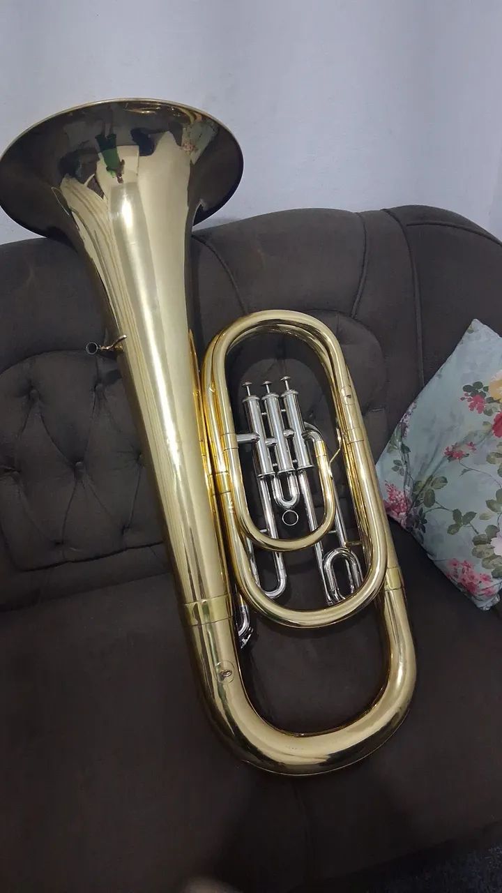 VENDO OU TROCO . - Foto 5