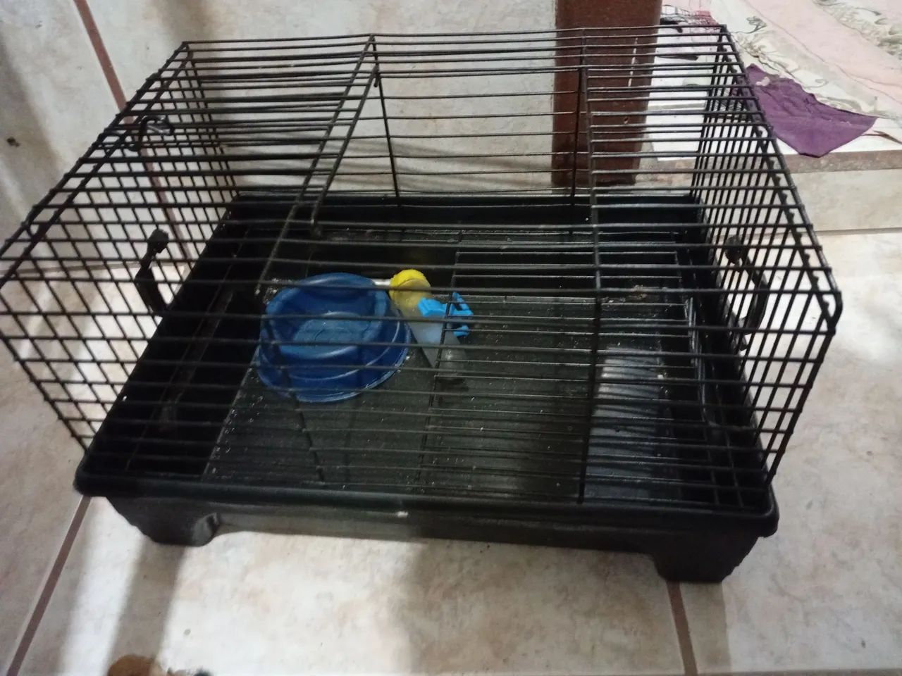 Gaiola - Foto 3